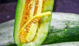 山西太原网红吃瓜